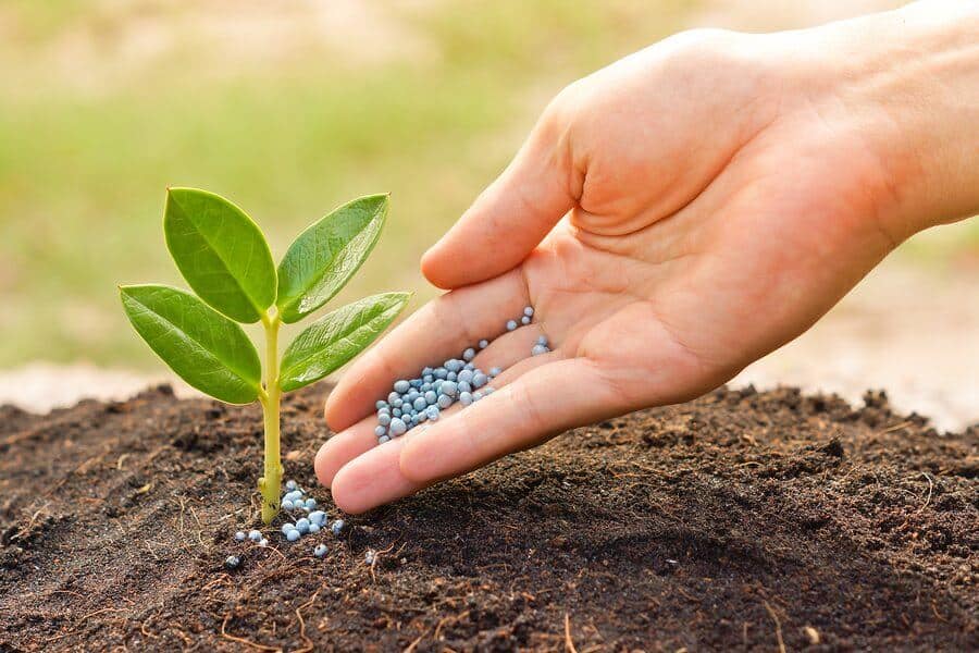 organic-fertilizer
