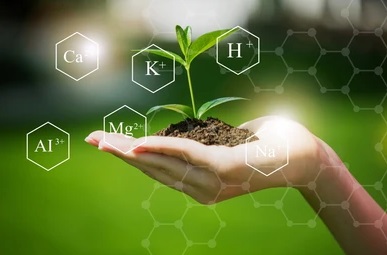 soil-minerals-green-plant